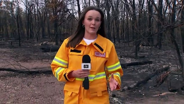 Over 50 homes destroyed by fire in Queensland's western downs