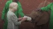 Watch: Queen Camilla feeds orphaned baby elephants at Kenya sanctuary
