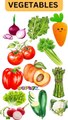 Vegetables | Fun and Colorful Vegetables for Kids 