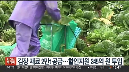 김장 재료 2만t 공급…할인지원 245억원 투입
