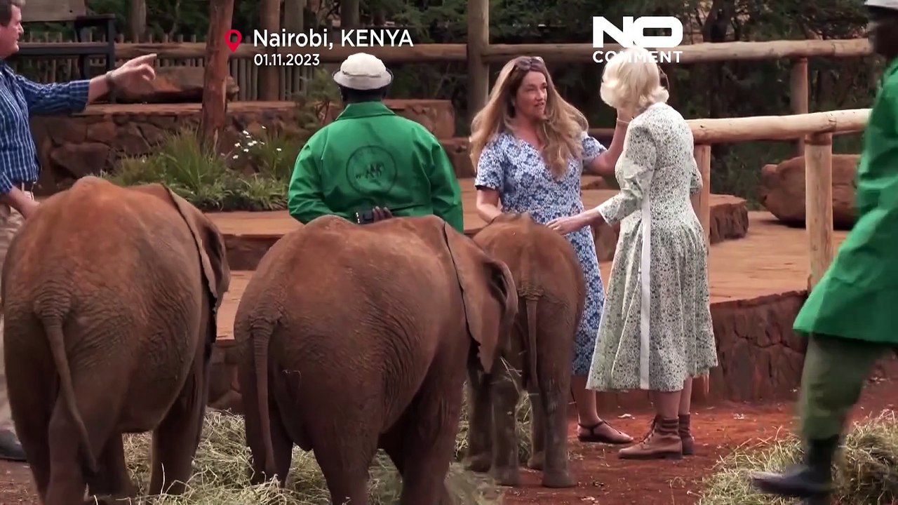 König Charles und Camilla besuchen Elefanten und Nashorn-Baby in Kenia