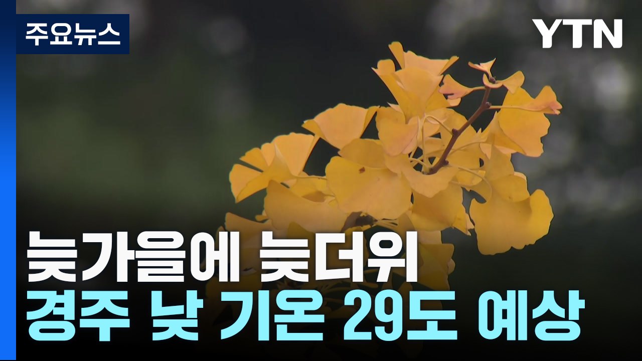 [날씨] 11월, 역대 가장 온화한 아침...한낮 가을 늦더위 / YTN