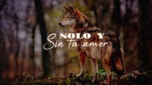 Los Temerarios - Solo Y Sin Su Amor (LETRA)