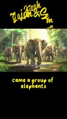 The tale of the elephant and the ant