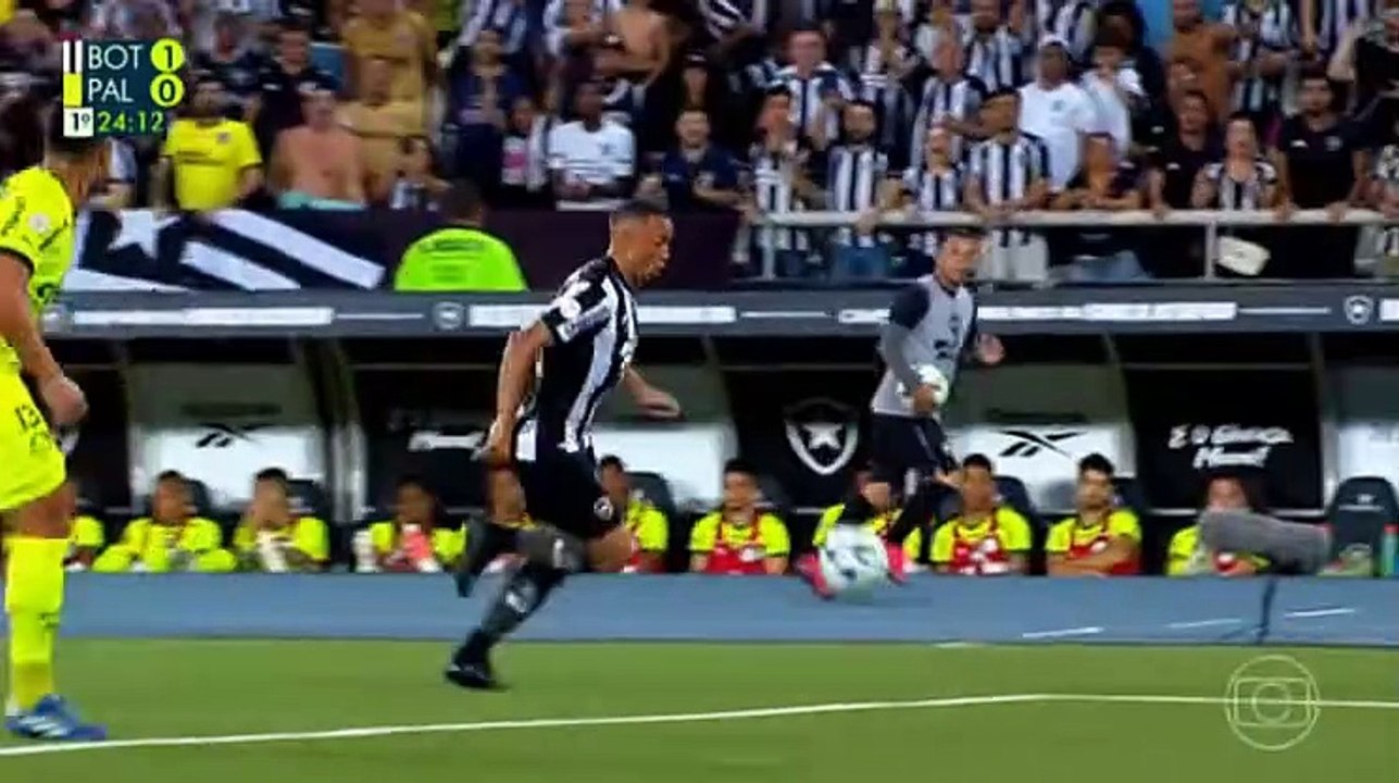 Campeonato Brasileiro 2023  Botafogo x Palmeiras (31ª rod) com Luís Roberto (Globo) 1º tempo