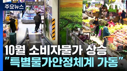 10월 소비자물가 3.8% 상승..."범부처 특별물가안정체계 가동" / YTN