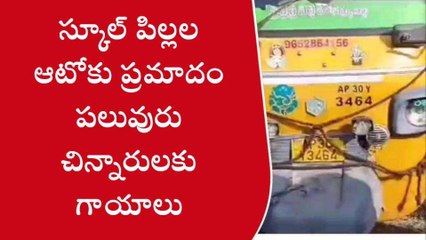 శ్రీకాకుళం జిల్లా: స్కూల్ విద్యార్థుల ఆటోకు ప్రమాదం