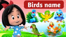 Birds | Birds name with spelling and  pictures | birds name | 20 birds name