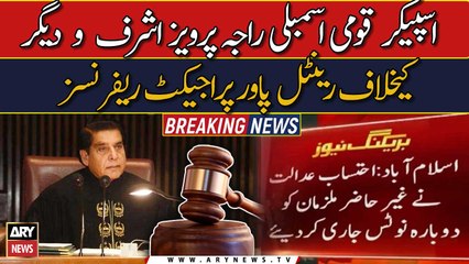 Rental Power Project Reference against Raja Parvez Ashraf and others