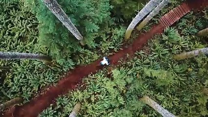 Never Stop Exploring (TNF Concept) 4K