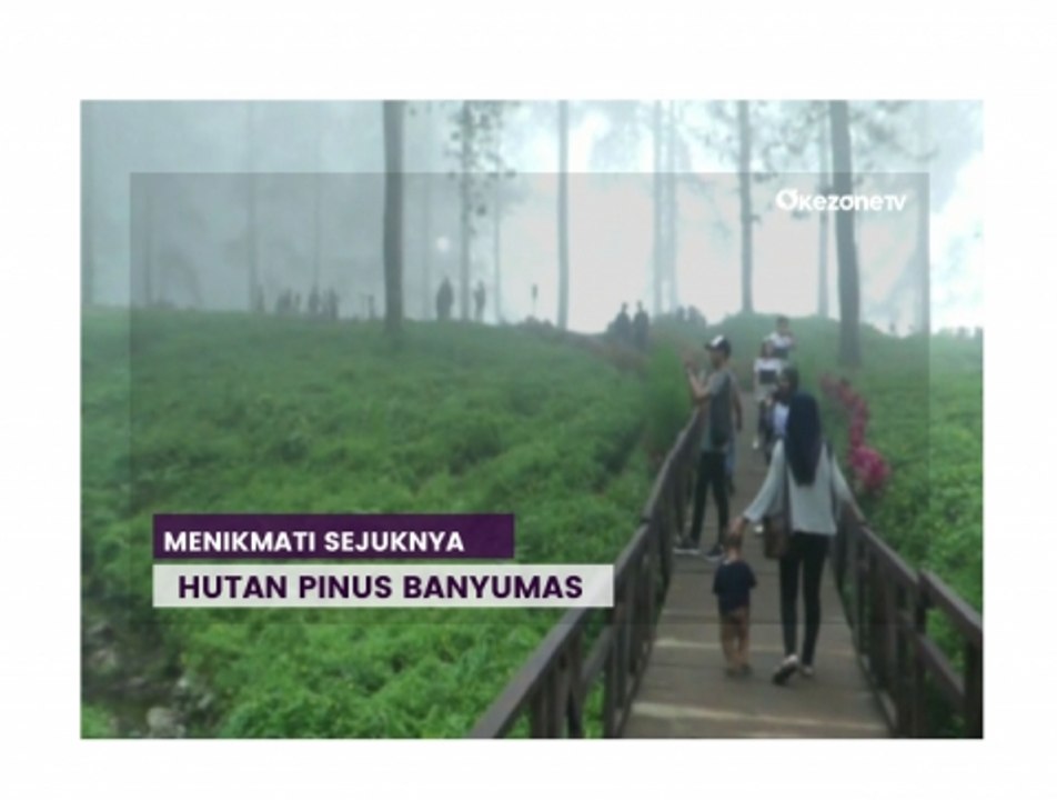 Menikmati Kesejukan Hutan Pinus di Banyumas, Bikin Hati Adem