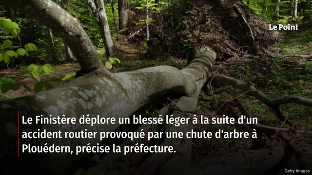 Tempête Ciaran : des rafales de plus de 160 km/h, les premiers dégâts ressentis