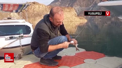 Sular altında kalan Yusufeli'nde oltayla balık tutulmaya başlandı