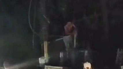 शाहजहांपुर: शराब के नशे में बिजली के ट्रांसफार्मर पर चढ़ा युवक, लाइन काटने पर बची जान