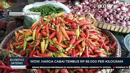 Wow, Harga Cabai Tembus Rp 85.000 Per Kilogram