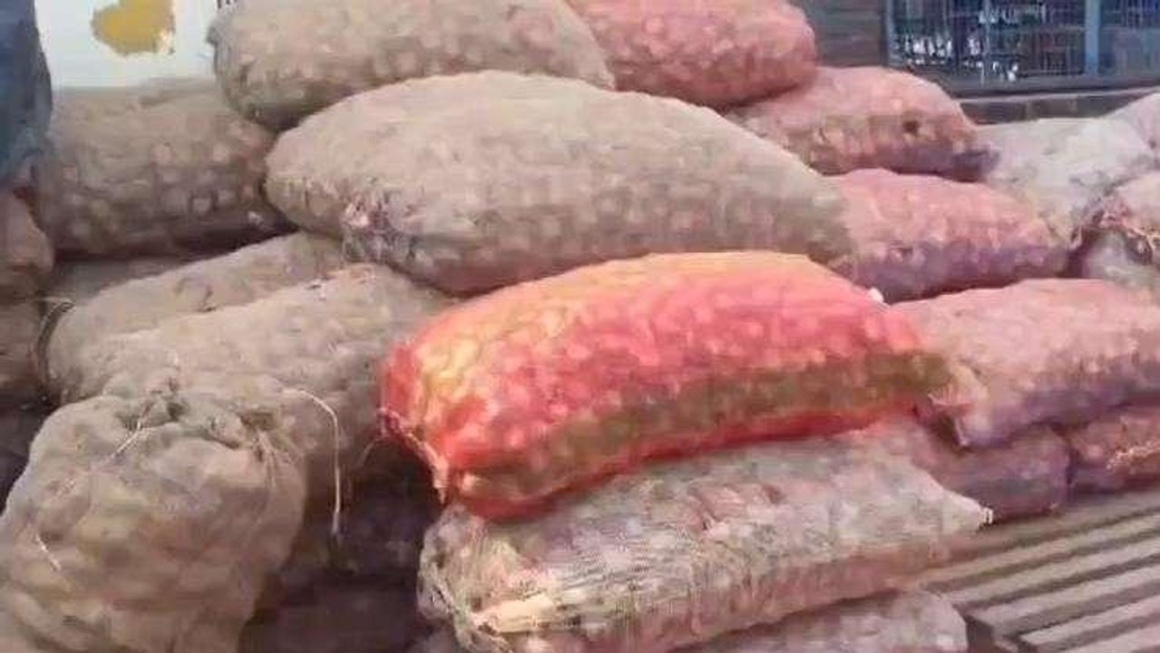 गोरखपुर: त्योहारी सीजन में रुलाने लगा प्याज, सब्जी और सलाद से गायब हुआ प्याज