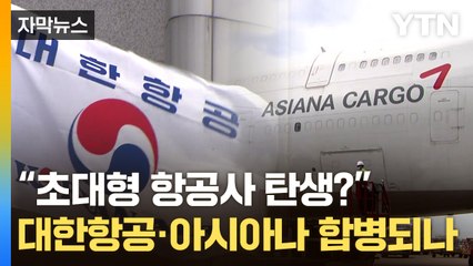 [자막뉴스] "세계 7위의 초대형 항공사 탄생?"...대한항공·아시아나 합병되나 / YTN