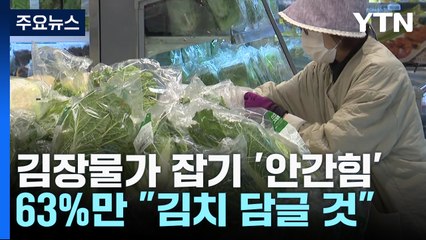 "김장물가 잡아라"...정부, 배추·소금 각 1만 톤 방출 / YTN