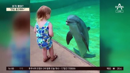 “안녕, 돌고래야~”…돌고래와 교감하는 아기?