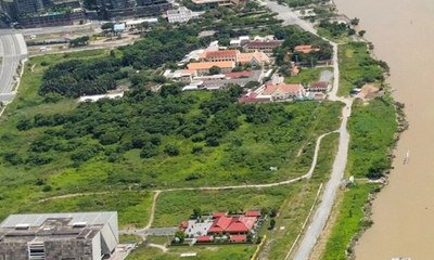 Mong chờ đồng hoa hướng dương dọc bờ sông Sài Gòn phía Thủ Đức