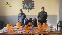 Halloween, sequestrati a Napoli oltre 100.000 prodotti contraffatti