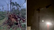 Grue pliée, arbres arrachés, rafales à plus de 200 km/h... la tempête Ciaran frappe le nord-ouest de la France