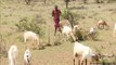 How one community in Kenya is adapting to climate change