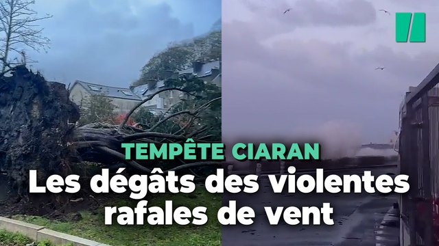 Les dégâts de la tempête Ciaran dans le nord-ouest de la France