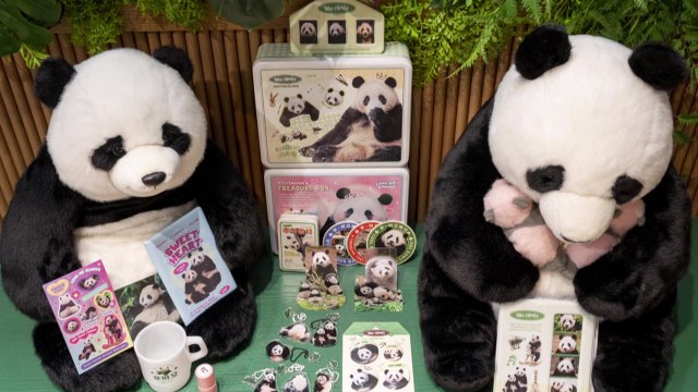 [기업] 에버랜드, 오는 9일부터 '푸바오 팝업 스토어' 연다 / YTN