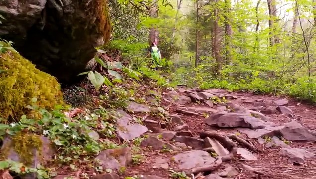 15 Most Amazing UNESCO World Heritage Sites