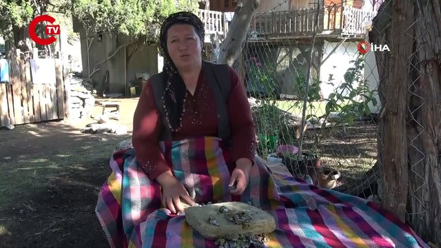 Köylüye ekmek kapısı, Türkiye'ye de şifa oluyor! Toros Dağları'ndan yayılan lezzet