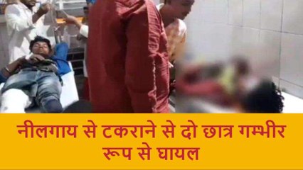 आज़मगढ़: नीलगाय से टकराकर बाइक सवार दो छात्र घायल, जिला अस्पताल में भर्ती