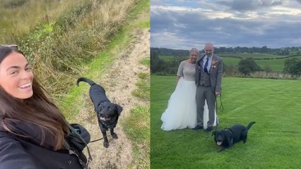 “I Make £2.5k-A-Month Looking After Pooches on People’s Big Days”