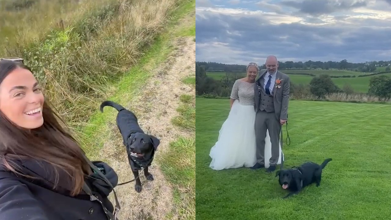 “I Make £2.5k-A-Month Looking After Pooches on People’s Big Days”