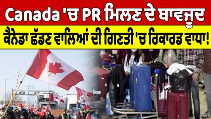 Canada 'ਚ  PR ਮਿਲਣ ਦੇ ਬਾਵਜੂਦ ਕੈਨੇਡਾ ਛੱਡਣ ਵਾਲਿਆਂ ਦੀ ਗਿਣਤੀ 'ਚ ਰਿਕਾਰਡ ਵਾਧਾ! |OneIndia Punjabi