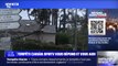 LES ÉCLAIREURS - Coupures de courant, toitures abîmées, arbres déracinés: les conseils pratiques après le passage de la tempête Ciarán