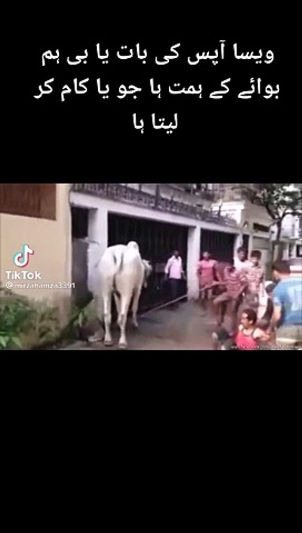 ⁣Pakistani funny videos in urdu | Pakistan Politics | funny | politics | Fun in asia  Hilarious Pakis