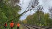 Sur la ligne Paris-Le Havre, les bûcherons de la SNCF s'activent actuellement pour déblayer les caténaires de troncs d'arbres