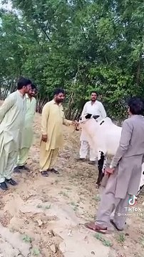 Pakistani funny videos in urdu | Pakistan Politics | funny | politics | Fun in asia Hilarious Pakistani Political Comedy - A Laugh Riot in Urdu!