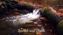 Nature Sounds of a Forest River for Relaxing | Natural meditation music of a Waterfall | Birds Sound