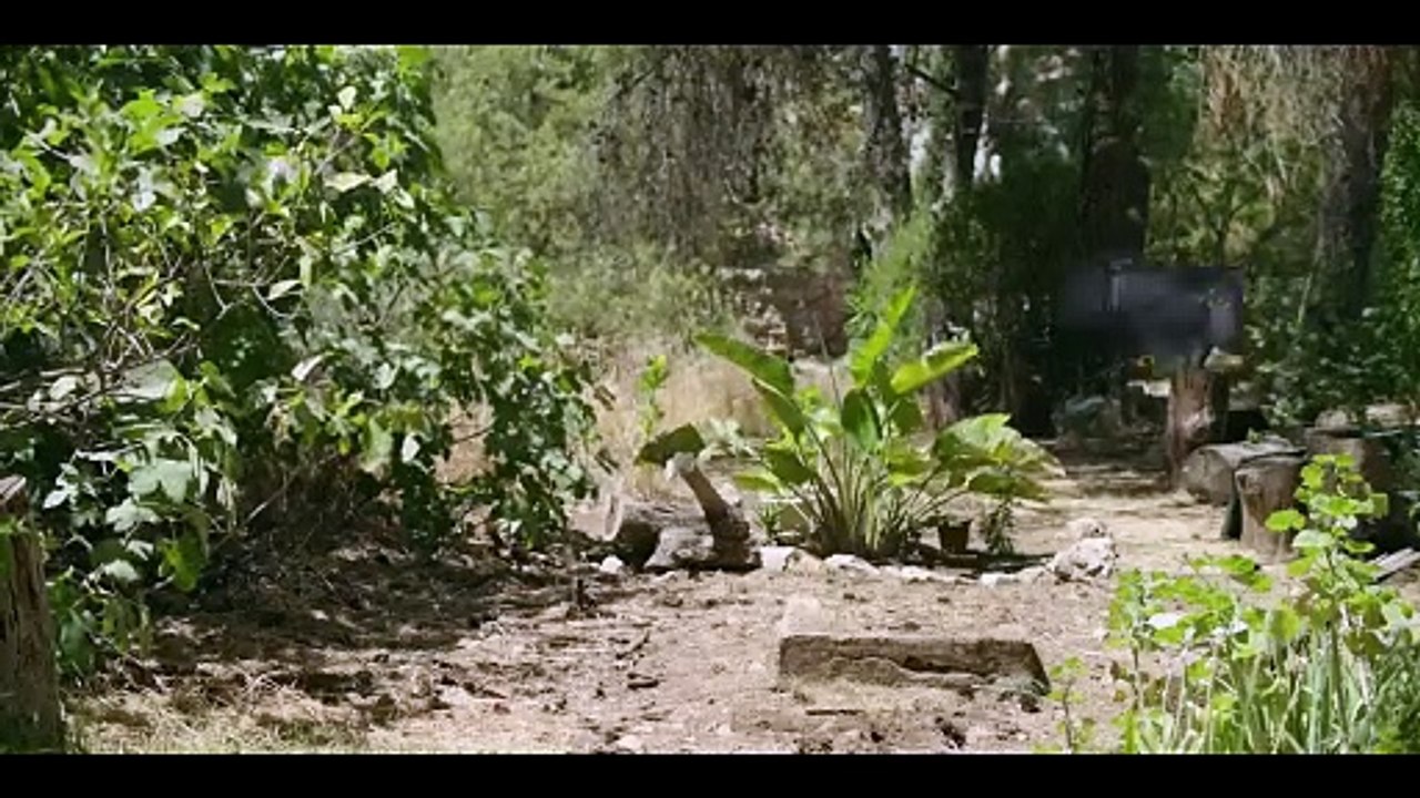 Ein Haus in Jerusalem Trailer OV