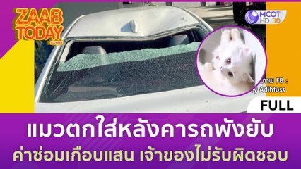 [คลิปเต็ม] แมวตกใส่หลังคารถพังยับ ค่าซ่อมเกือบแสน เจ้าของไม่รับผิดชอบ (2 พ.ย. 66) | แซ่บทูเดย์