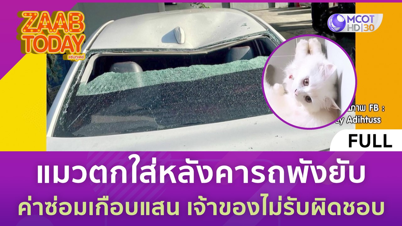 [คลิปเต็ม] แมวตกใส่หลังคารถพังยับ ค่าซ่อมเกือบแ...