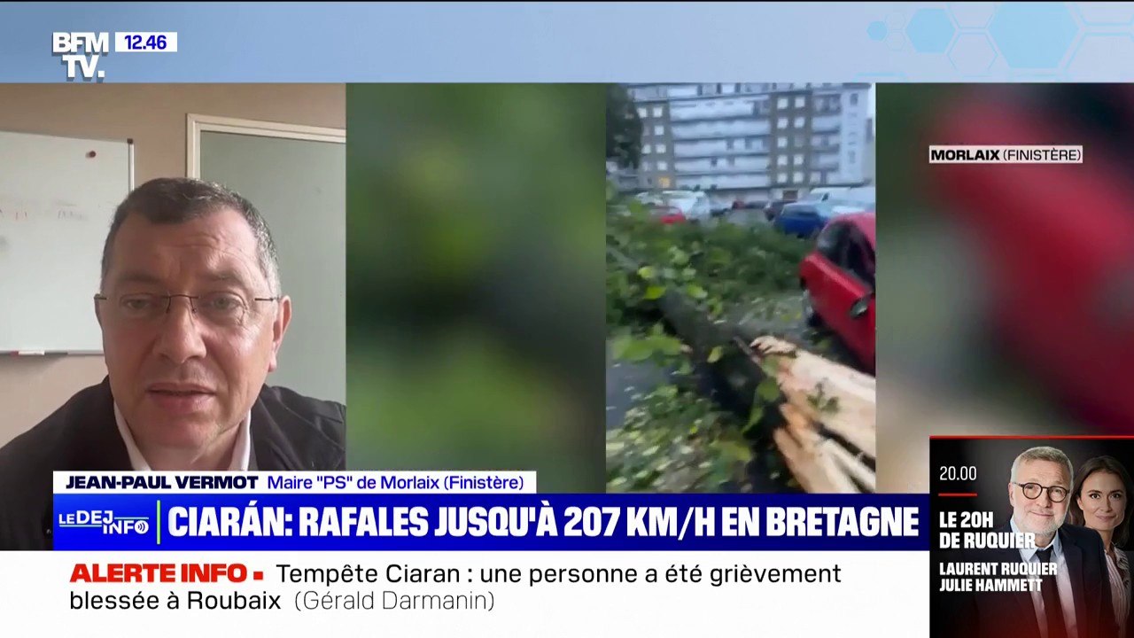 Tempête Ciarán: "Les chutes d'arbres ont occasionné pas mal de casse sur le réseau électrique", affirme le maire de Morlaix, dans le Finistère