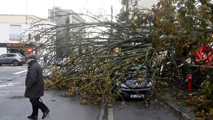 Al menos tres personas murieron tras el paso de la tormenta Ciarán en Francia
