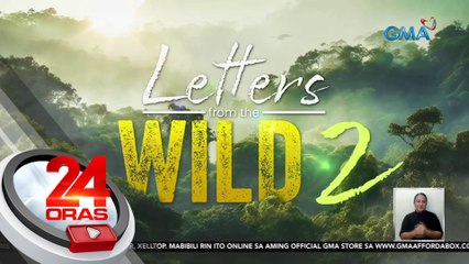 Kapuso stars, bibigyang-boses ang mga hayop na tampok sa "Born to Be Wild" special sa Linggo | 24 Oras