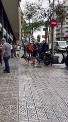 La amenaza de bomba en la sede de Vox se produce un día después de que Sánchez acuerde amnistiar a los CDR