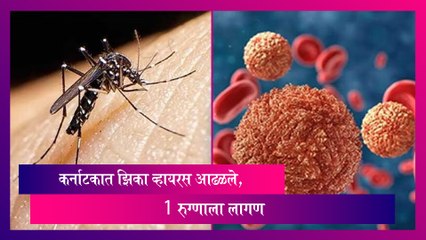 Zika virus: कर्नाटकात झिका व्हायरस आढळले, 1 रुग्णाला लागण