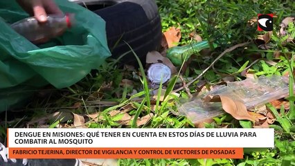 Dengue en Misiones qué tener en cuenta en estos días de lluvia para combatir al mosquito