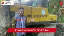 İş makinesi operatörünün dikkati 9 yavru sincabın hayatını kurtardı